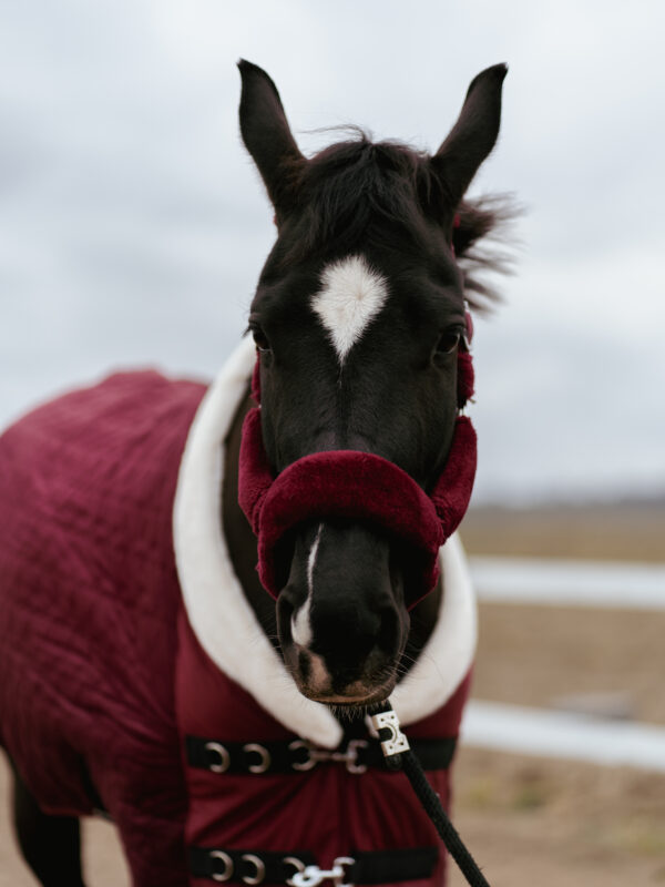 Derka Stajenna HeartBeat