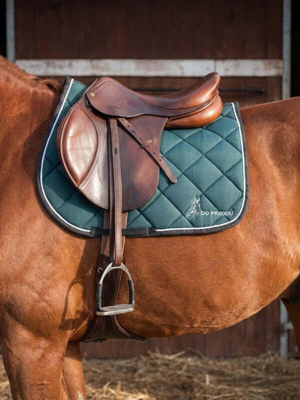 Czaprak Elegant Zielony Skokowy